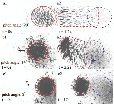   
		Fig. 4. The change in the morphology of a mobile vortex-like swarm. The original patterns of nanoparticle swarms are in red circles in (a1), (b1) and (c1), and the final patterns after locomotion are shown in red dotted curves in (a2), (b2) and (c2). Meanwhile, the original locations are labeled with blue dotted circles.  (Ref. [4-5])	 
